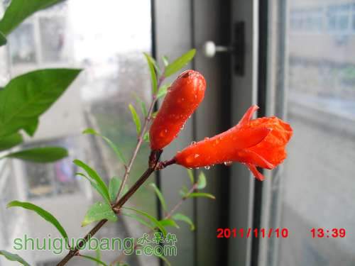nEO_IMG_CIMG2877.jpg