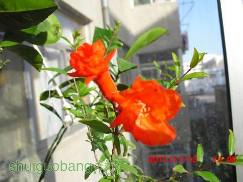 nEO_IMG_CIMG3107.jpg
