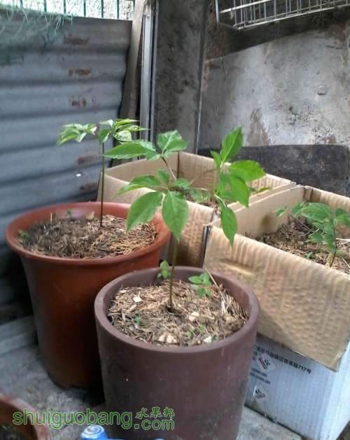 2014-04-22 15.11.25.jpg