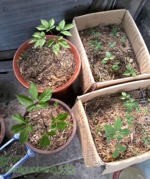 2014-04-22 15.11.47.jpg