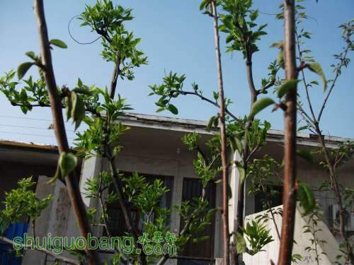 Ƭ 047.jpg