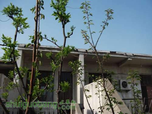 Ƭ 048.jpg