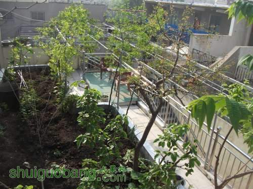 Ƭ 080.jpg