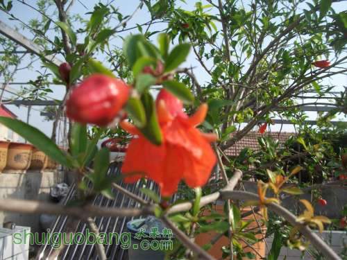 Ƭ 089.jpg