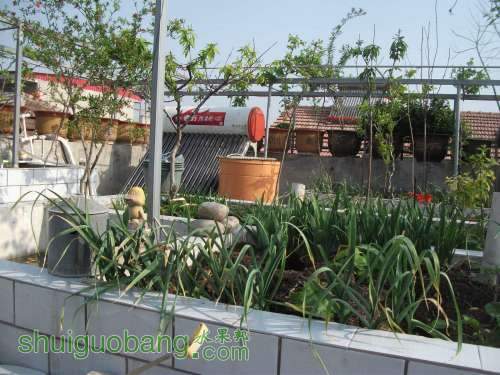 Ƭ 094.jpg