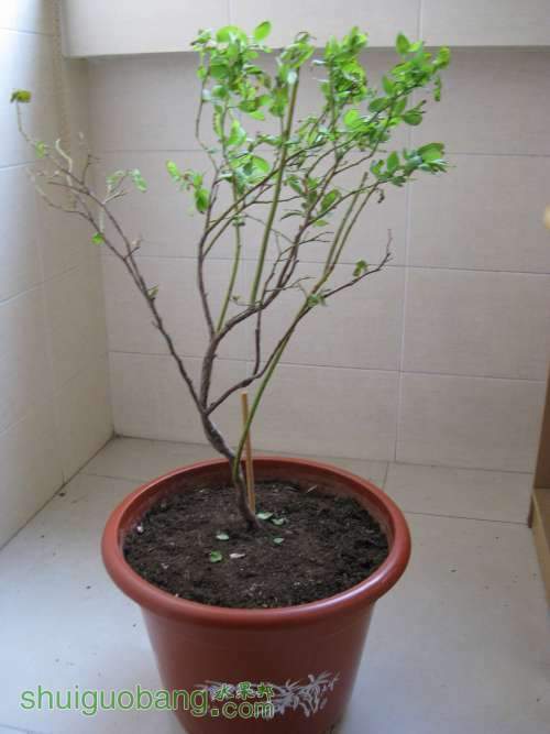 20130520 229522.jpg
