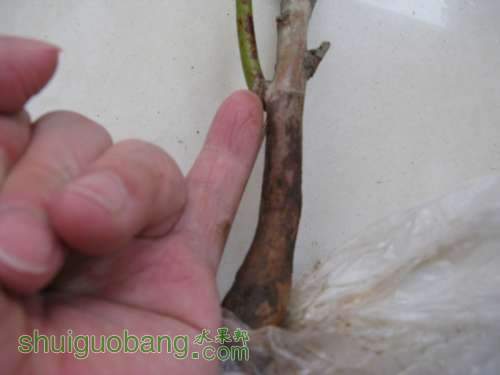 20130520 229508.jpg
