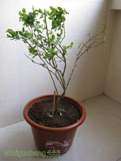 20130520 229512.jpg