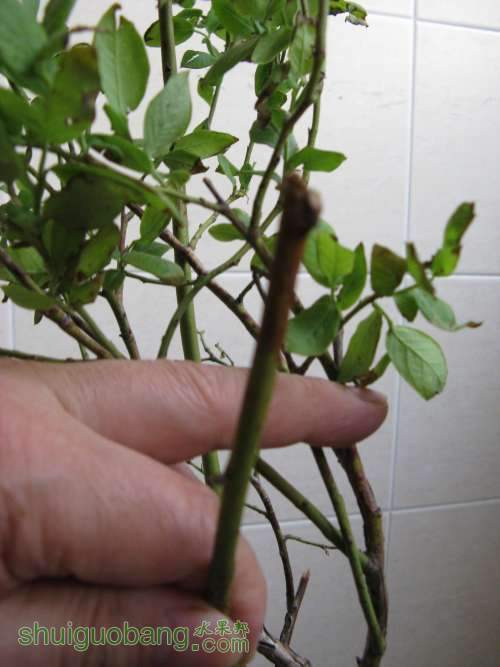20130520 229513.jpg