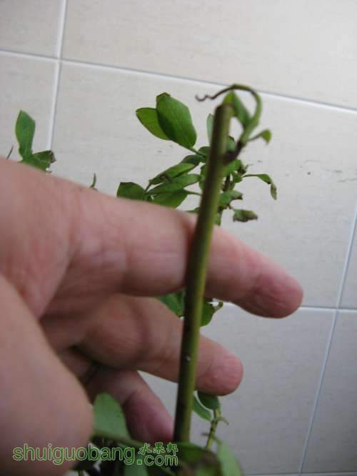 20130520 229514.jpg