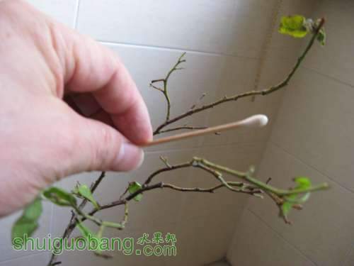 20130520 229516.jpg
