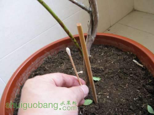 20130520 229520.jpg