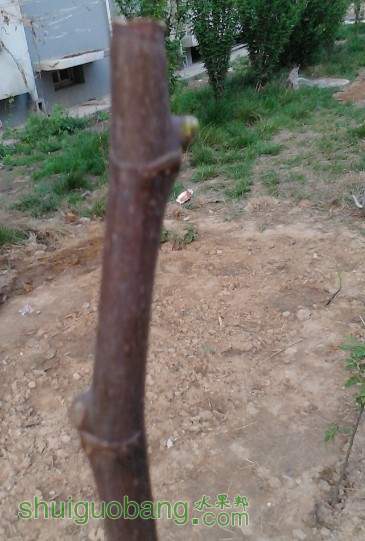 QQͼƬ20140428183144.jpg