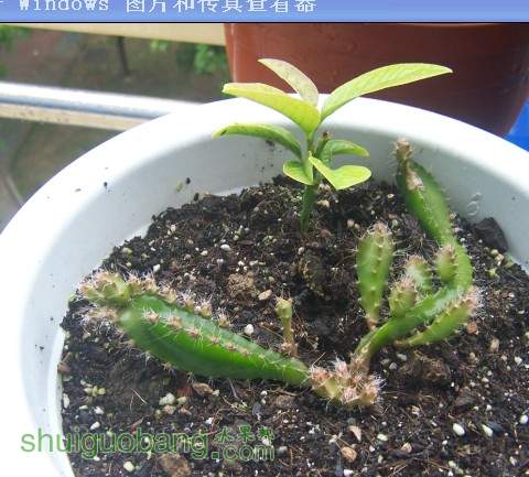 QQͼƬ20140428191654.jpg