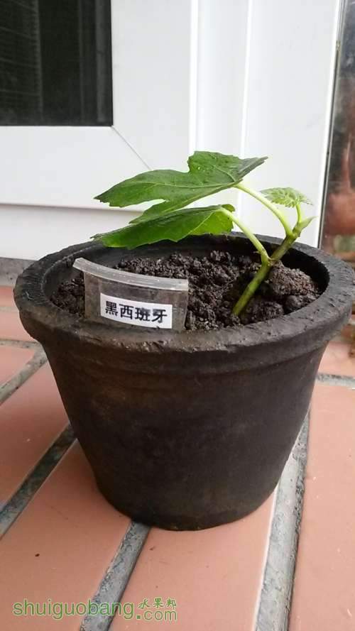20140428_174125.jpg