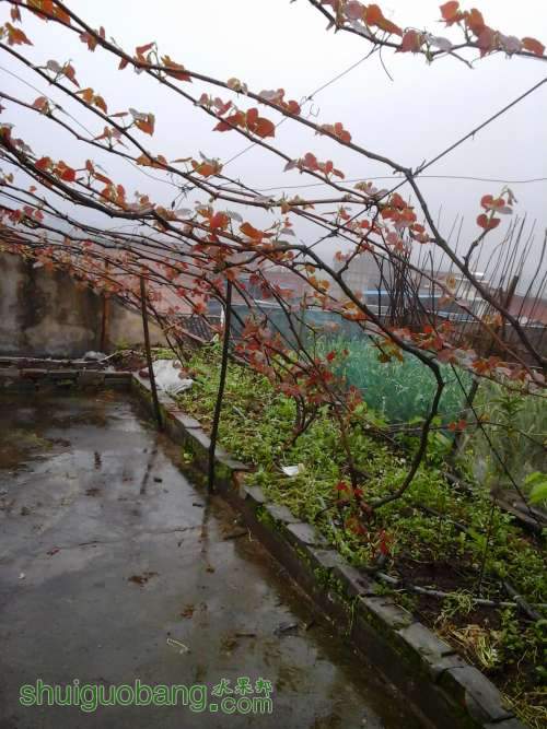 20140406_131618.jpg