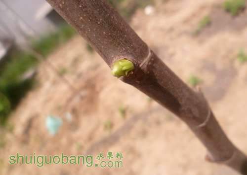 QQͼƬ20140428211335.jpg