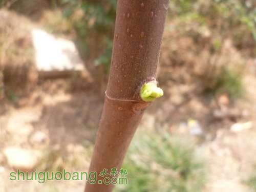 QQͼƬ20140428211500.jpg