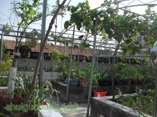 Ƭ 095.jpg