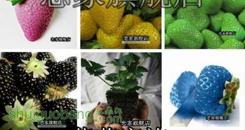 QQ��ͼ20140429134304.jpg