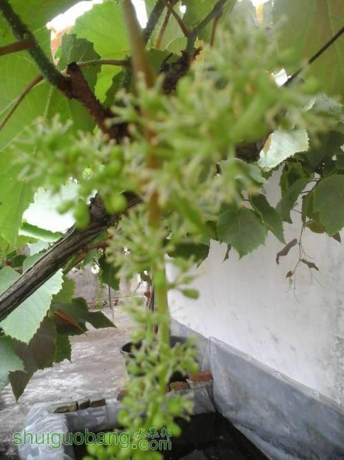 20140420_164647.jpg