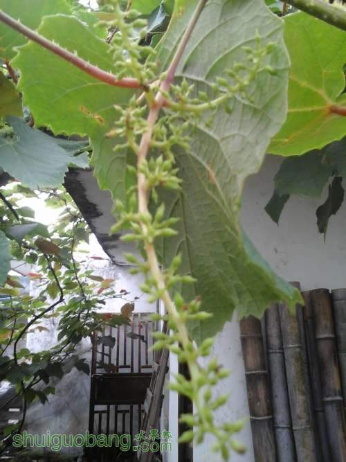 20140429_102652.jpg