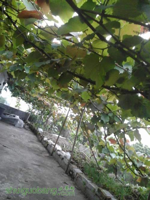 20140418_184950.jpg