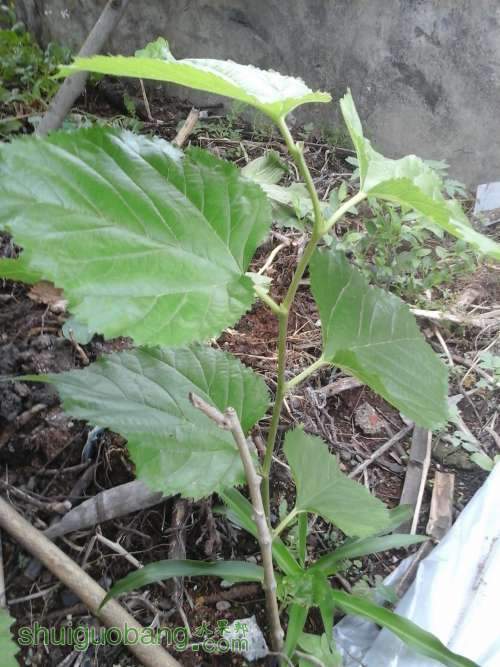 20140420_170216.jpg
