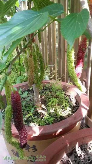 20140430_081219.JPG