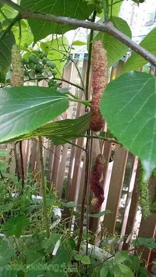 20140430_081251.JPG