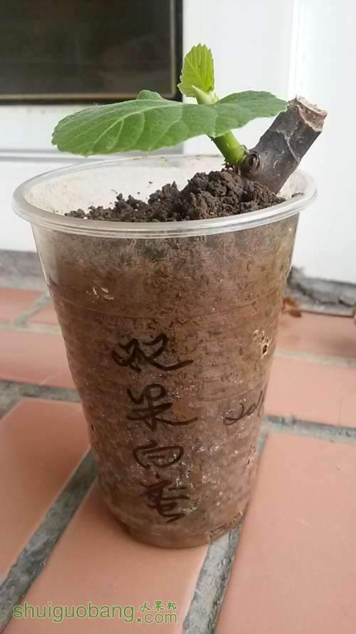 20140430_154313.jpg