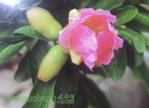 QQͼƬ20140430212946.jpg