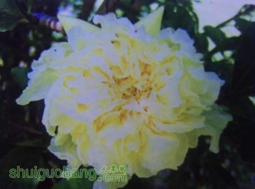 QQͼƬ20140430212950.jpg