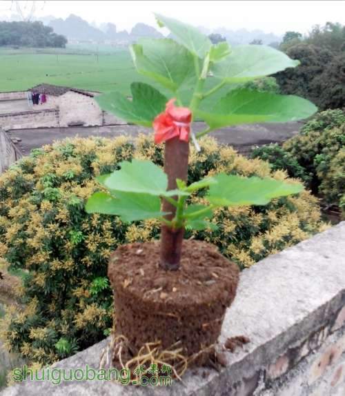 QQͼƬ20140420153537.jpg
