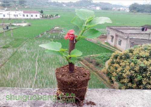 QQͼƬ20140420153656.jpg
