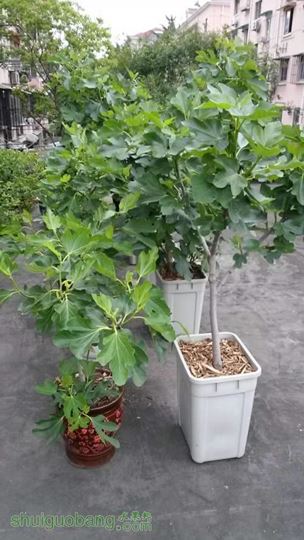 20140503_070349.jpg