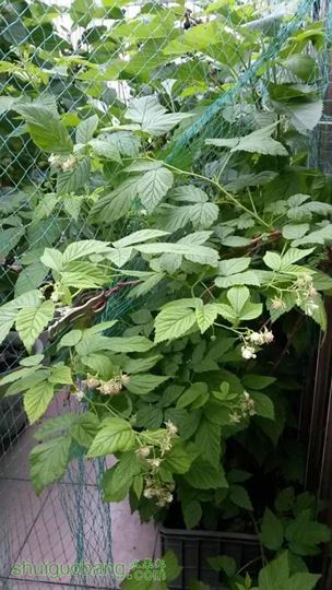 20140503_094552.jpg