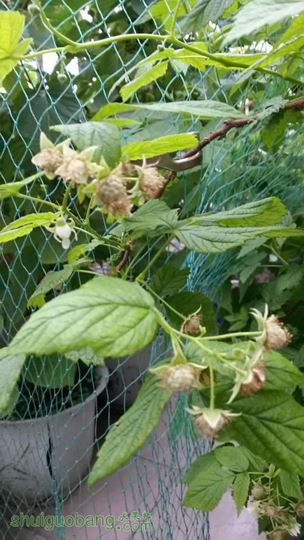 20140503_094435.jpg