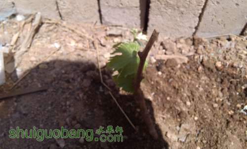 IMG_20140502105103.jpg