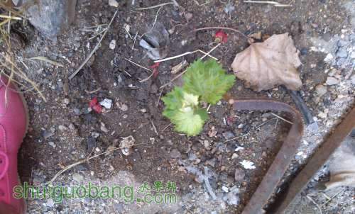 IMG_20140502105017.jpg