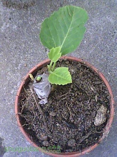 IMG0424123200.jpg
