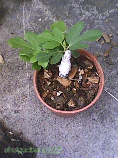 IMG0425120700.jpg