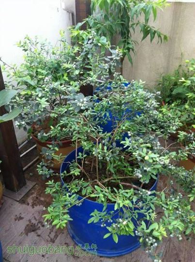2014-05-01 142314.jpg
