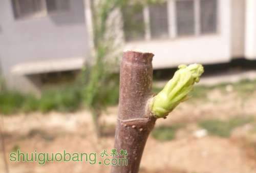 QQͼƬ20140504124858.jpg