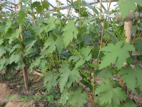 2014.04.23.�����޺� 011.jpg