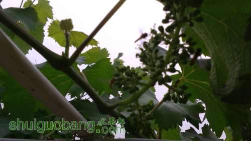IMG_20140504_123910.jpg