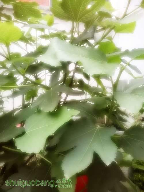 MediaLib_Camera Roll_Camera360_2014_5_4_061422.jpg