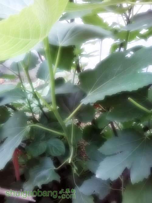 MediaLib_Camera Roll_Camera360_2014_5_4_061428.jpg