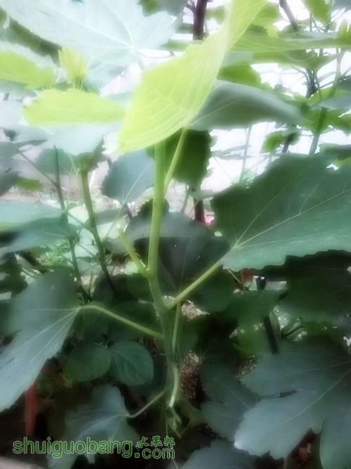 MediaLib_Camera Roll_Camera360_2014_5_4_061438.jpg