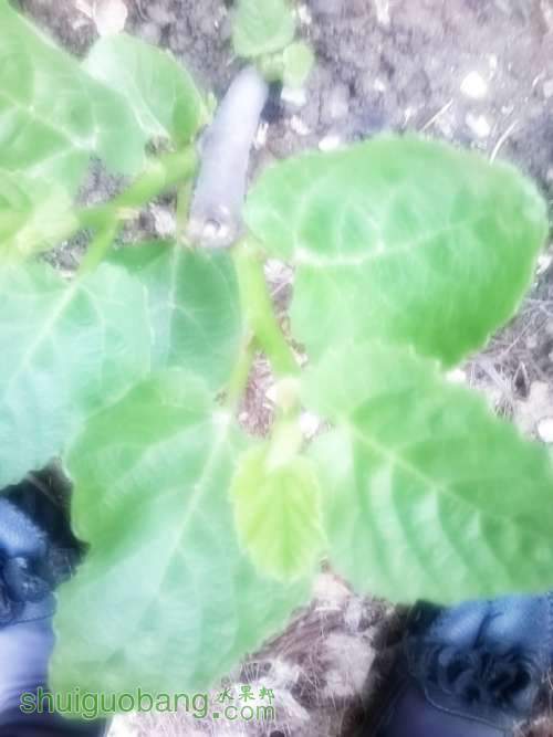 MediaLib_Camera Roll_Camera360_2014_5_4_061550.jpg